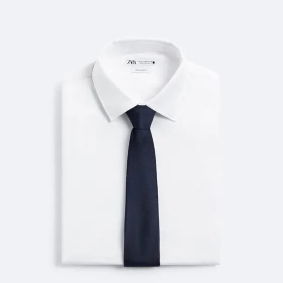 Zara Other - Zara Silk Tie